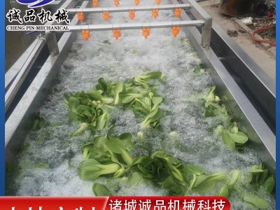 全自动果蔬气泡清洗机 商用洗菜洗水果设备 大型车厘子樱珠清洗机图1