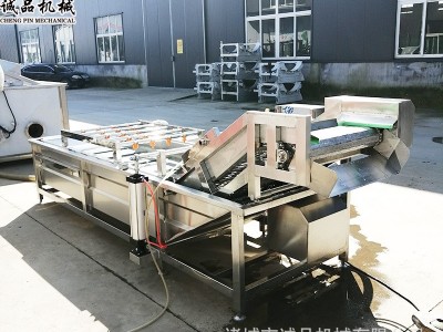 全自动果蔬气泡清洗机 商用洗菜洗水果设备 大型车厘子樱珠清洗机图4