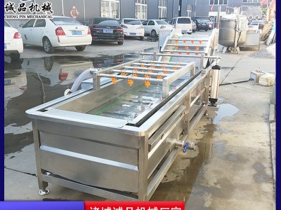 蔓越莓气泡果蔬清洗机 全自动山野菜蔬菜加工设备 酱菜脱盐清洗机图2