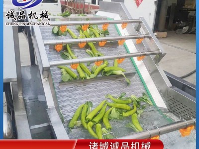 蔓越莓气泡果蔬清洗机 全自动山野菜蔬菜加工设备 酱菜脱盐清洗机图1