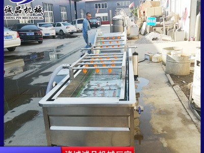 蔓越莓气泡果蔬清洗机 全自动山野菜蔬菜加工设备 酱菜脱盐清洗机图3