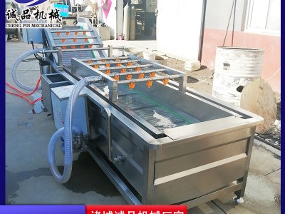 蔓越莓气泡果蔬清洗机 全自动山野菜蔬菜加工设备 酱菜脱盐清洗机图4