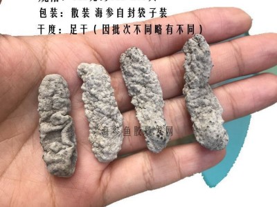 野淡干海参黄玉参酒店水发海参干货深海白刺参发量大口感好500克图4