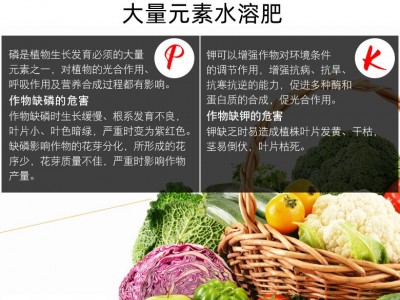 磷酸二氢钾叶面肥正品农用蔬菜番茄黄瓜辣椒花卉多肉高磷高钾肥料图4
