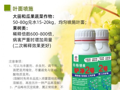 白粉锈病铲净2号农药杀菌剂 辣椒西瓜甜瓜黄瓜草莓白粉病专用药图4