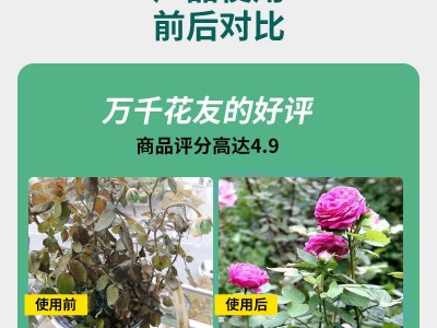 批发复合肥种菜家用种花通用养花肥料氮磷钾磷酸二氢钾复合肥料图3