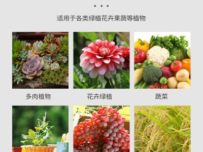 批发复合肥种菜家用种花通用养花肥料氮磷钾磷酸二氢钾复合肥料图4