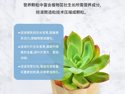 颗粒通用型多肉专用缓释肥长效养花卉通用氮磷钾植物家用花底肥料图2