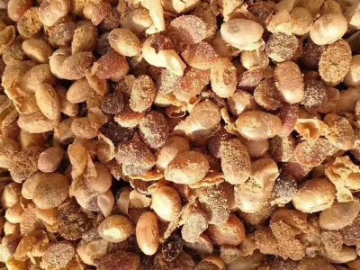 加工定制生物有机肥发酵大豆替代鸡粪牛粪羊粪发酵大豆生物有机肥图1
