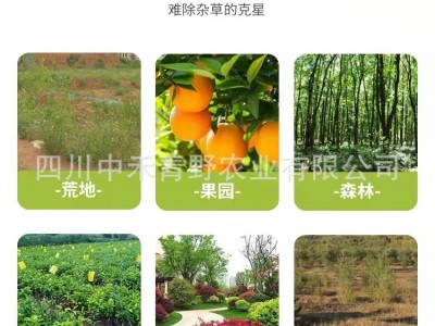 大锄头草甘膦铵盐灭生烂根除草剂果园开荒杂草一扫光除草剂批发图3