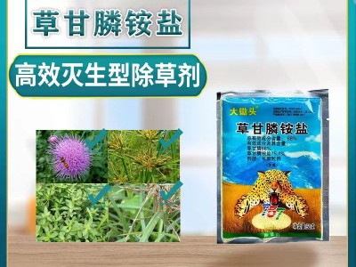 大锄头草甘膦铵盐灭生烂根除草剂果园开荒杂草一扫光除草剂批发图1