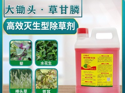大锄头草甘膦除草烂根剂果园荒地除杂草强力除草剂批发农药批发图2