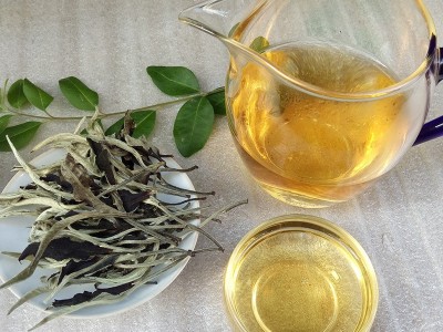 批发 云南茶叶 散茶 景谷月光白茶一芽一叶 大白毫银针口感香甜图4