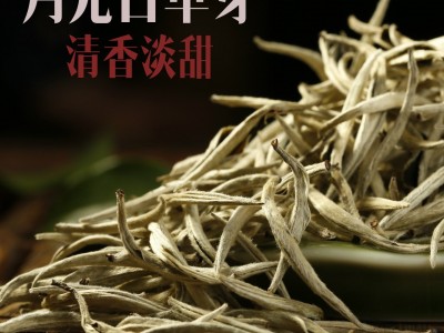 批发2022云南白茶 大白毫银针 月光白单芽 散茶产地货源自产自销图4