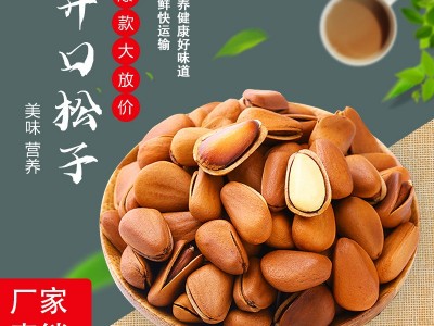 【松果壹号】原味大颗粒开口松子400g罐装厂家直销干果零食图2