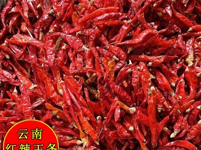 新货红辣王辣椒小米辣朝天椒野山椒特辣椒王辣椒酱辣椒香辣调味料图2