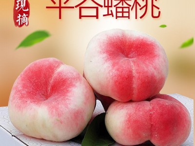 桃子现货北京平谷水蜜桃蟠桃5/2斤水蜜桃新鲜水果工厂包邮代发厂图1