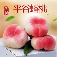 桃子现货北京平谷水蜜桃蟠桃5/2斤水蜜桃新鲜水果工厂包邮代发厂