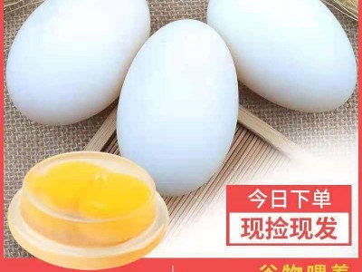 鹅蛋土新鲜农家散养鹅蛋当现新鲜大去孕妇批发个12装跨境厂家批发图4