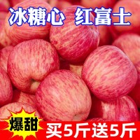 冰糖心苹果新鲜丑现摘新鲜水果1/5/10斤批发价跨境独立站速卖通