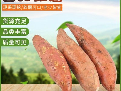 厂家批发地瓜红薯 新鲜五谷杂粮 番薯类地瓜红薯 整箱装图2
