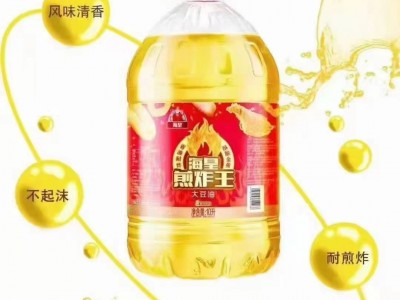 厂家供应现货海皇煎炸王大豆油10L 食用油 超市家用大豆油图5