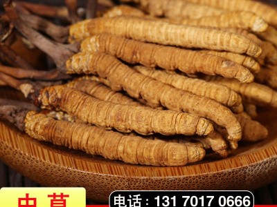冬虫夏草西藏那曲土特产冬虫草散装批发无断草产地直供量大从优图3