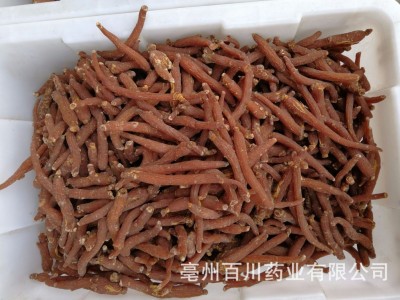 红参 长白山人参 红参大量批发 一斤 红参整支 15天无条件退换图5