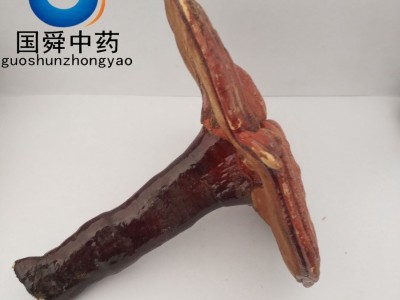 【国舜堂】灵芝500g实物拍照产地货源中药材批发供应【灵芝】图2