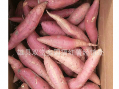 农家自种新鲜现挖小蜜薯 沙地种植软糯红心蜜薯批发图3