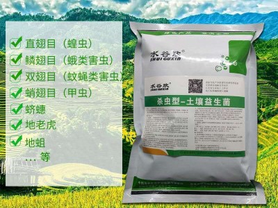 （水谷欣）土壤益生菌微生物菌剂改良土壤激活土壤1000克图2