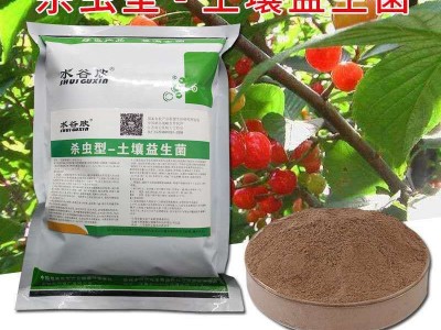 （水谷欣）土壤益生菌微生物菌剂改良土壤激活土壤1000克图3