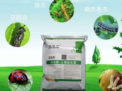（水谷欣）土壤益生菌微生物菌剂改良土壤激活土壤1000克图5
