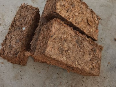 厂家直销小椰砖650克土壤无土栽培兰花植料 椰糠椰壳脱盐椰砖包邮图2