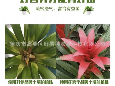 厂家育苗基质营养土大量批发 花卉栽培水果蔬菜育苗基质土大包图4