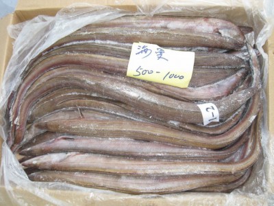 供应 厂家直销 长期大量加工海鳗片,美鳐片,孔鳐片,黄舒鱼图3