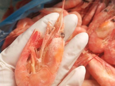 四海水产新鲜北极虾弹嫩鲜甜解冻即食海虾清甜口感虾体红润北极虾图2