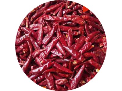 干辣椒火锅冒菜用调味料 朝天椒干调料香辣椒 辣椒子朝天椒干图5