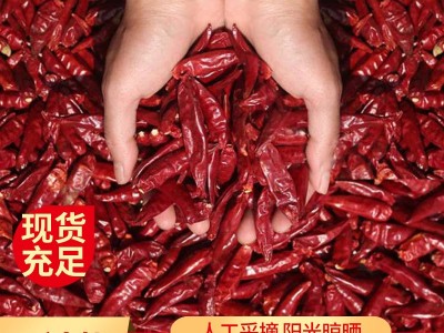 干辣椒火锅冒菜用调味料 朝天椒干调料香辣椒 辣椒子朝天椒干图3