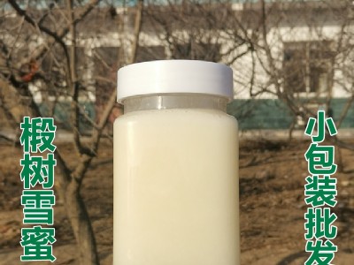 黑蜂椴树雪蜜500g瓶装结晶蜂蜜团购零售批发厂家直销图2