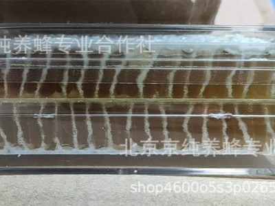 京纯荆花巢蜜250克 自然成熟蜜图3