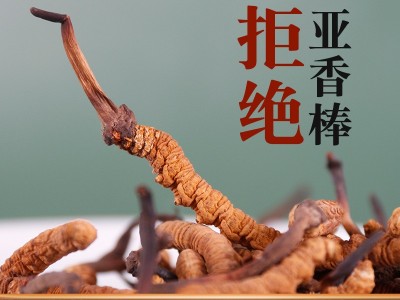 那曲产冬虫夏草 产地直收实体看货 虫草滋补品批发代发非青海图2