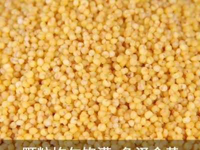 扶风寨陕西米脂小米批发500g/袋五谷杂粮 黄小米小米粥图5