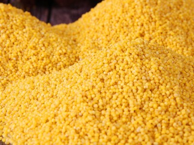 扶风寨陕西米脂小米批发500g/袋五谷杂粮 黄小米小米粥图3