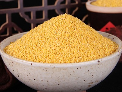 扶风寨陕西米脂小米批发500g/袋五谷杂粮 黄小米小米粥图2