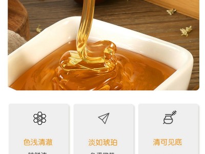 槐花蜂蜜500g装 农家自产蜂蜜 早餐面包水果搭配蜂蜜现货供应图5