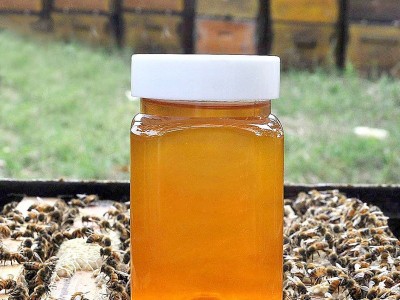 蜂寿堂天然百花蜂蜜批发瓶装500g 百花蜜 散装蜂蜜图3