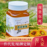 现货供应 百花蜜批发 结晶土蜂蜜瓶装 枣花蜜 洋槐蜂蜜500g