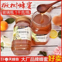 椴树蜂蜜1kg玻璃瓶装 成熟土蜂蜜厂家现货批发
