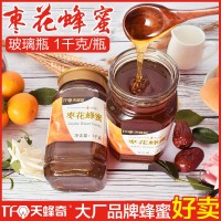 天蜂奇枣花蜂蜜1kg蜂蜜批发厂家直销散装批发蜂蜜源头厂家